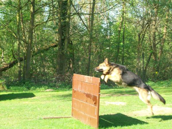 B Dasty Meterwand.jpg